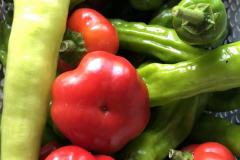 1_65097953743__F4523019-45EB-459A-A8A9-D7F6BF8A3AA1