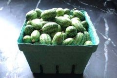 cucamelons